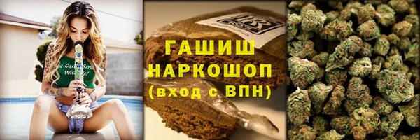 индика Богданович